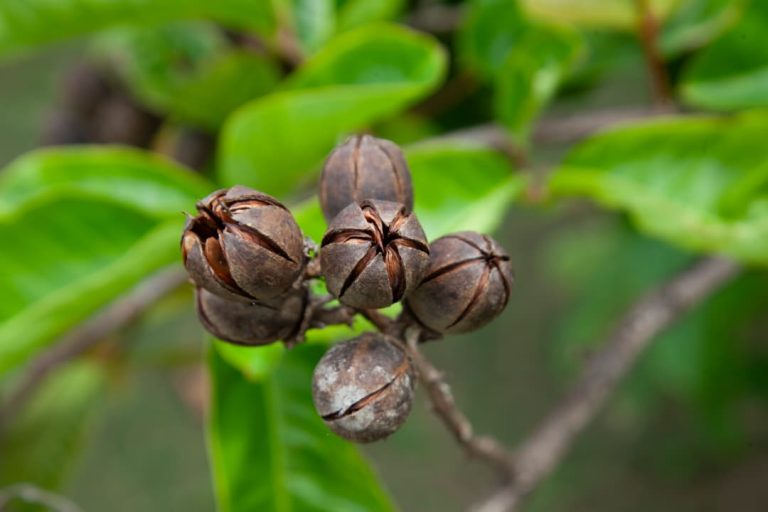 b0555d90-bbc5-4b46-806b-dffc09e20ee0